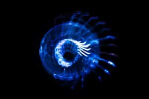 Sound waves in the dark